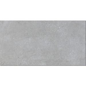 Pamesa Vita Gris 60x120 Betonoptik Fliesen