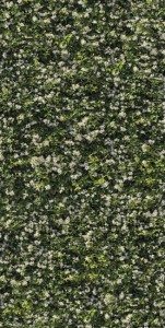 Dekorfliesen grüne Blätter Casalgrande Padana Limpha Gelsomino 120x240 6,5mm