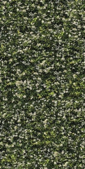 Płytki dekor zielone liście Casalgrande Padana Limpha Gelsomino 120x240 6,5mm 168421