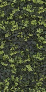 Casalgrande Padana Limpha Helix Fliesen grüne Blätter 120x240 6,5mm