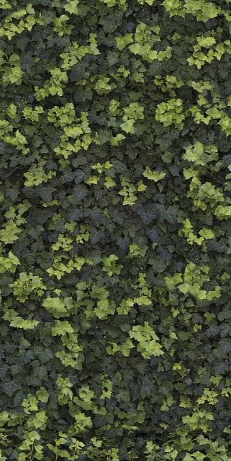 Płytki dekor zielone liście Casalgrande Padana Limpha Helix 120x240 6,5mm 168428