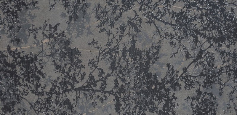 Dekor Cercom Soap Stone Oak Grey Naturale 60x120 168573