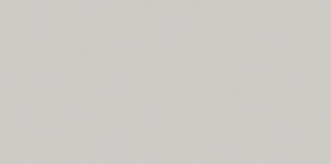 Grau monokolor Gres Fliesen Saloni Proyeccion Ceniza FXC713 45x90