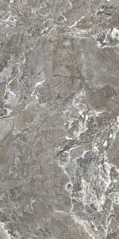 Onyx&More Silver Porphyry 120x240x0,6 cm 174494