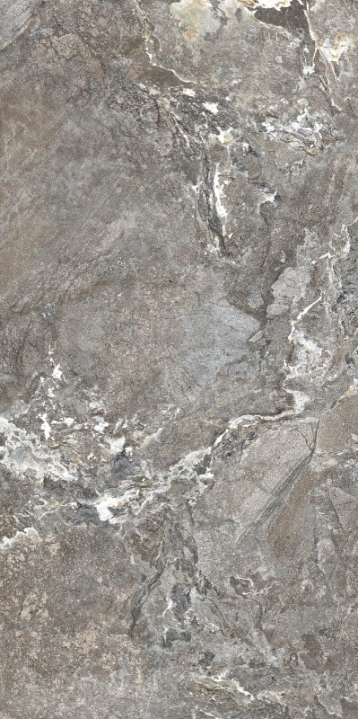 Onyx&More Silver Porphyry 120x240x0,6 cm 174496