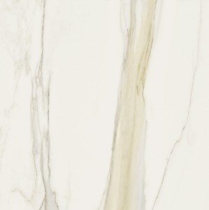 Calacatta Gold Matt 120x120 cm Fliesen