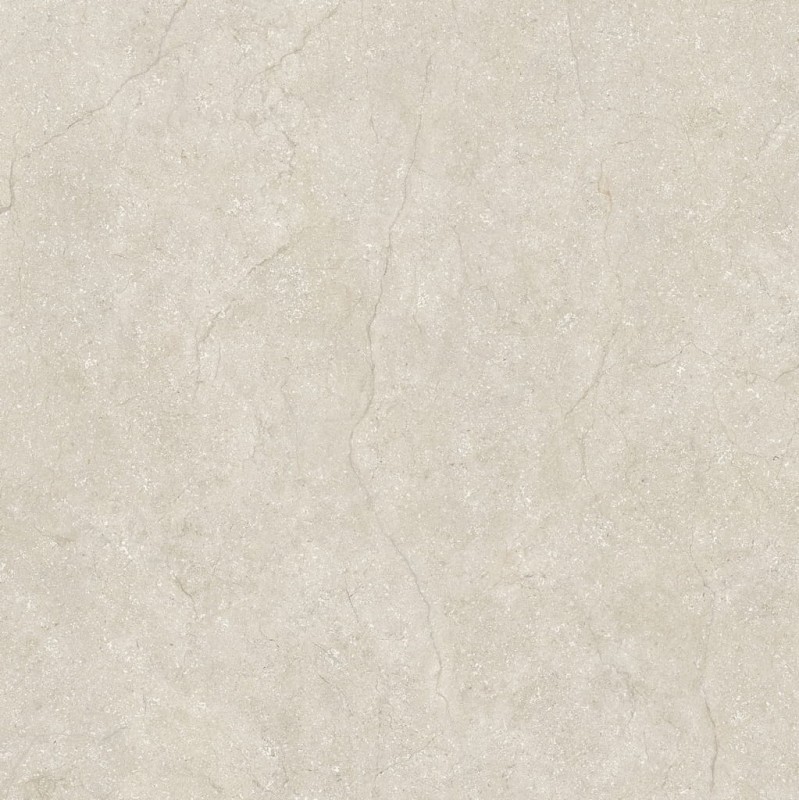 Stone Life Shell 120x120x0,6 cm 175376