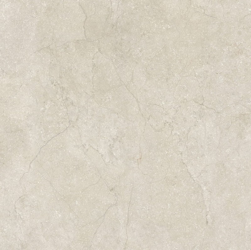 Stone Life Shell 120x120x0,6 cm 175377