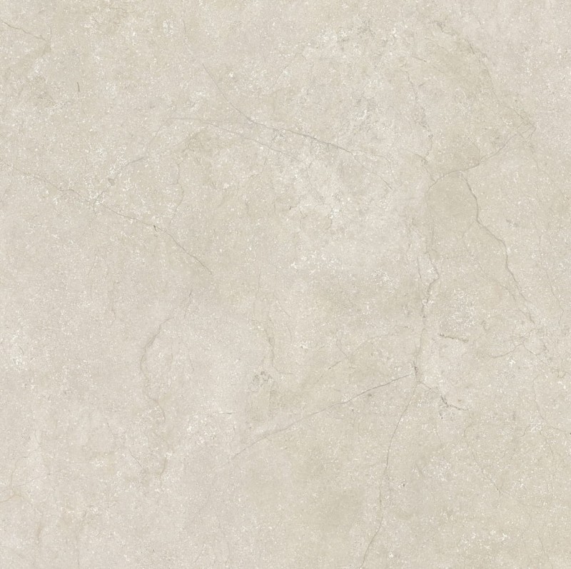 Stone Life Shell 120x120x0,6 cm 175378