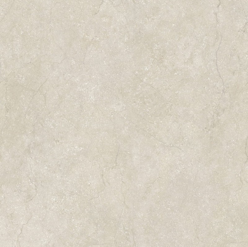 Stone Life Shell 120x120x0,6 cm 175379