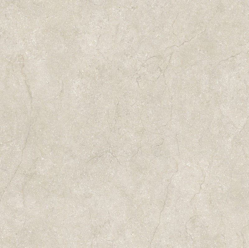 Stone Life Shell 120x120x0,6 cm 175380