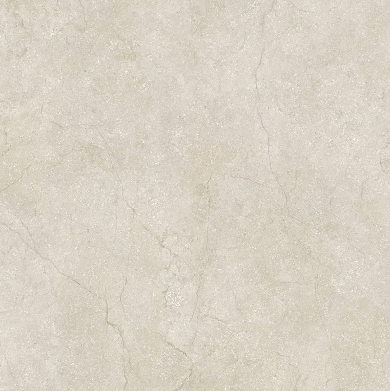 Stone Life Shell 120x120x0,6 cm 175381