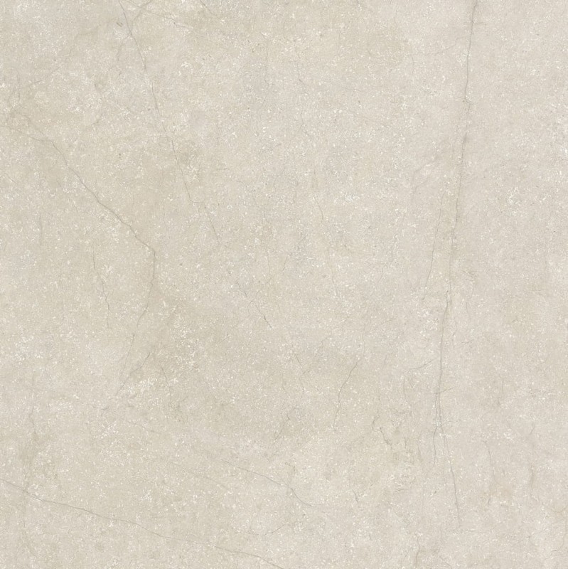 Stone Life Shell 120x120x0,6 cm 175382