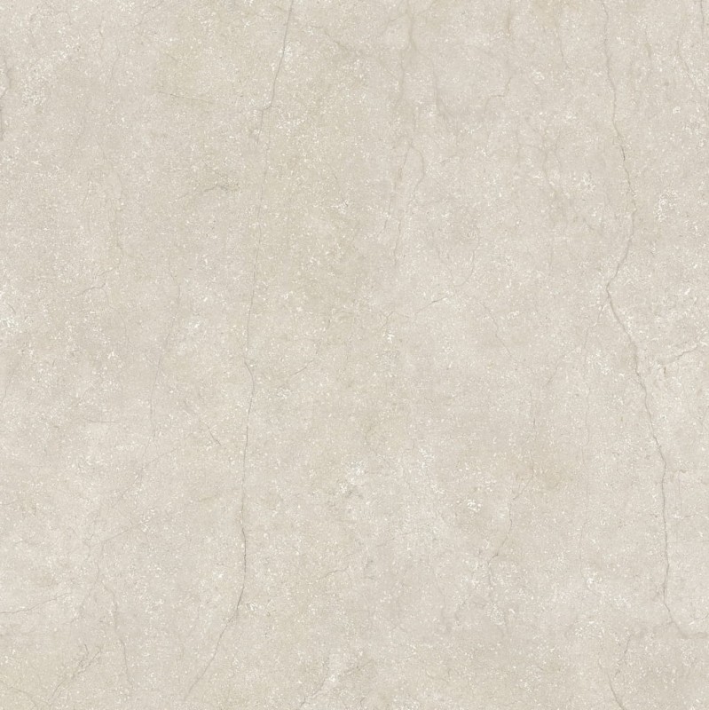 Stone Life Shell 120x120x0,6 cm 175383