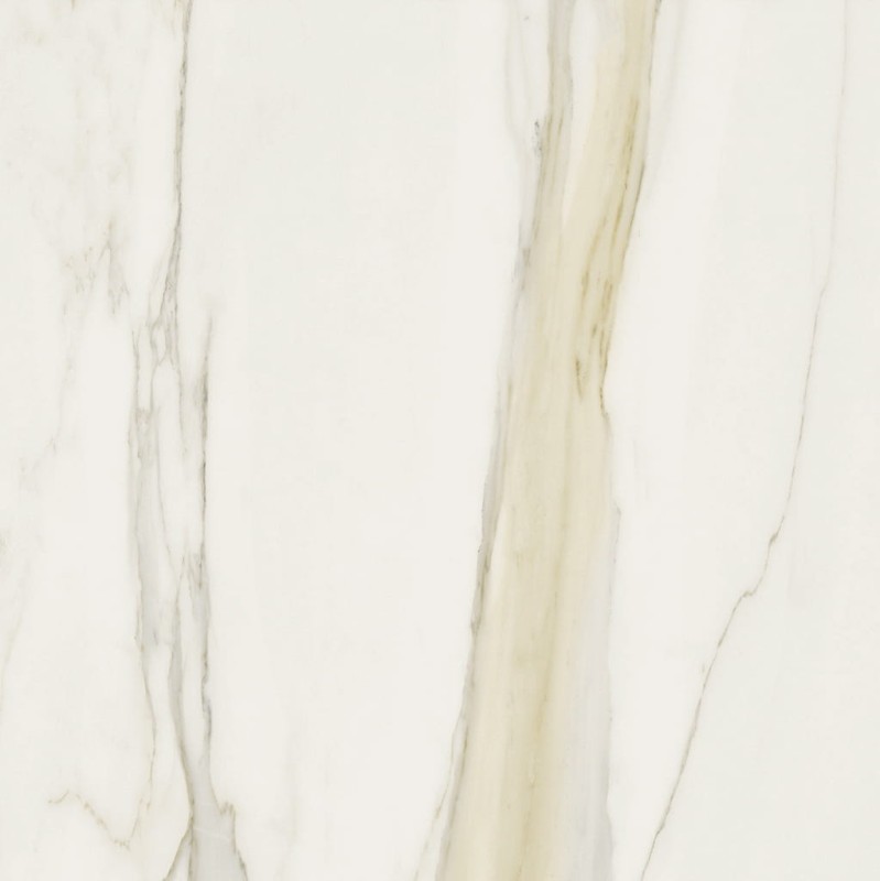 I Classici Calacatta Gold Matte 120x120x0,6 cm-175778