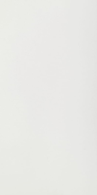 Color White Matte STU 160x320x1,2 cm, z siatką, nierektyfikowana 178984