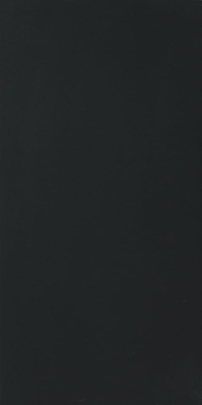 Color Black Glossy STU 160x320x1,2 cm, z siatką, nierektyfikowana, Gatunek 2 179020