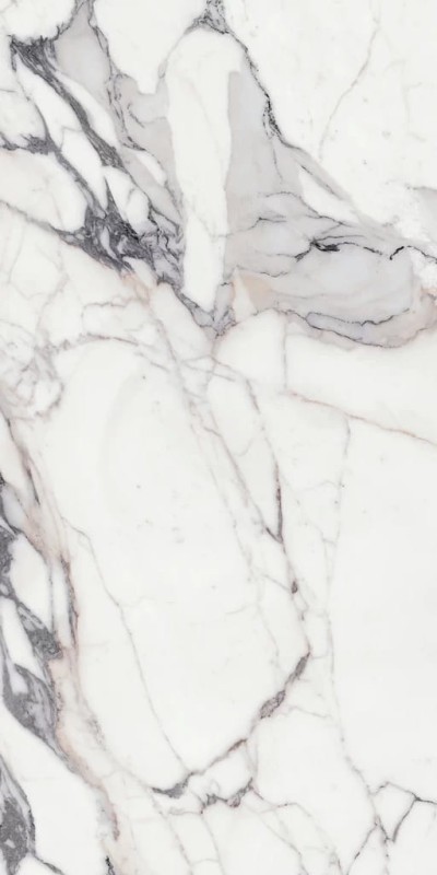 Les Origines De Rex Argent Glossy 120x240x0,6 cm, Gatunek 2 180710