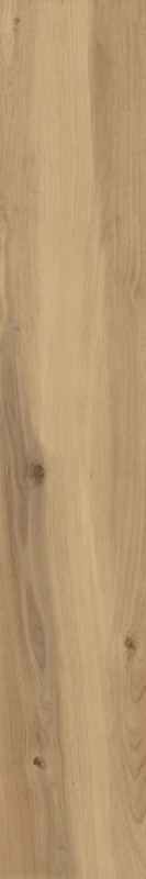 Wood One Honey 20x120x0,9-180779