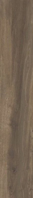 Wood One Brown 20x120x0,9 180784