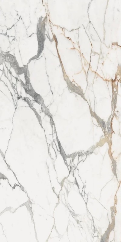 Les Origines De Rex Or Glossy 160x320x0,6 cm 180864
