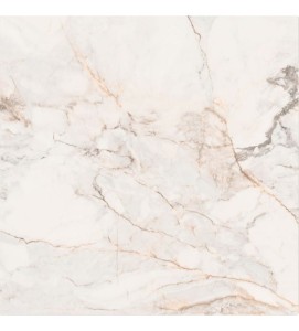 Pisa Golden White Matte Fliese (Calacatta Oro) 120x120