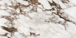 Rex Ceramiche Rex Les Bijoux Brèche Capraia 766333 Poler 60 x 120 cm - Feinsteinzeugfliesen