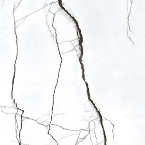 Magnifica Marquina Blanco 120x120 Marmor-Großformatfliesen