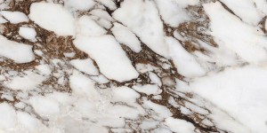 Rex Ceramiche Rex Les Bijoux Brèche Capraia 765783 Poler 60 x 120 cm - Gresfliesen
