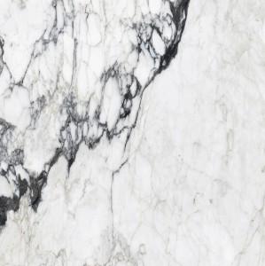 Rex Ceramiche Rex Calacatta Altissimo Blanc 765759 Poler 120 x 120 cm - Feinsteinzeugfliesen
