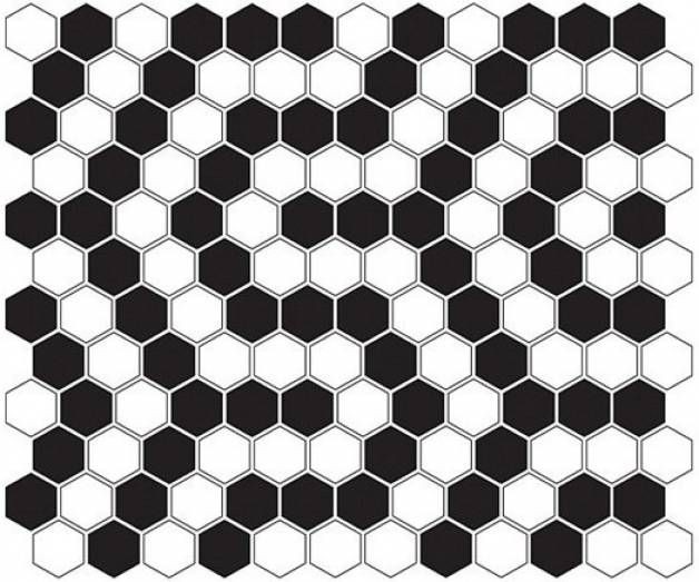 Dunin Mini Hexagon B&W Coral 26x30 mozaika heksagonalna 103865