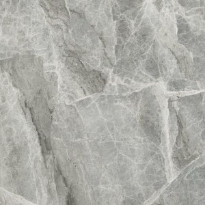 APE Silver Grey POL Rechteck 120x120 Marmor-Feinsteinzeug Fliesen