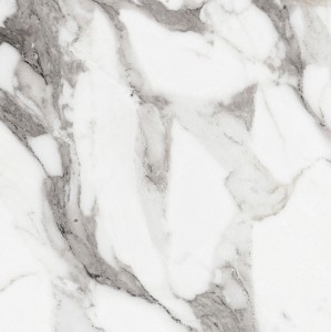 Rex Ceramiche Les Origines de Rex Argent 769843 Poler 60 x 60 cm - Feinsteinzeugfliesen