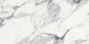 Rex Ceramiche Les Orgines de Rex Argent 769967 Poler 120 x 240 cm - Feinsteinzeugfliesen
