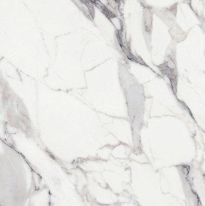 Rex Ceramiche Les Origines de Rex Argent 769955 Matt 120 x 120 cm - Gresfliesen