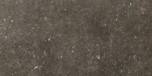 Rex Ceramiche Rex Atmosphères Désir 773365 Natur 30 x 60 cm - Feinsteinzeugfliesen