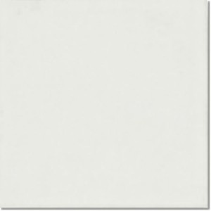 Equipe Evolution Blanco Mate 15x15 Wandfliesen