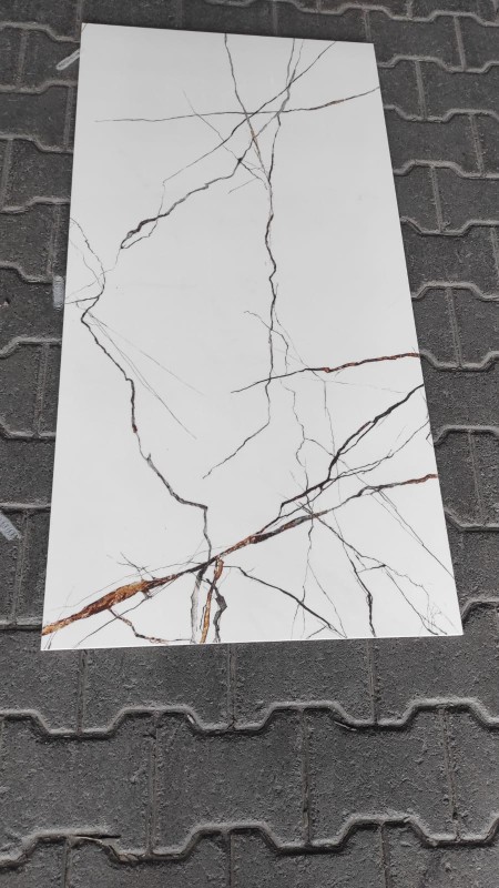 Settecento Lichen Patagonia.jpeg