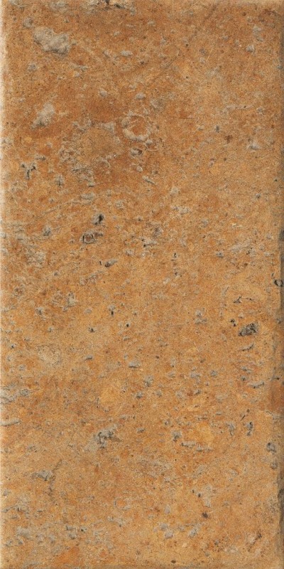 СRPL-00449