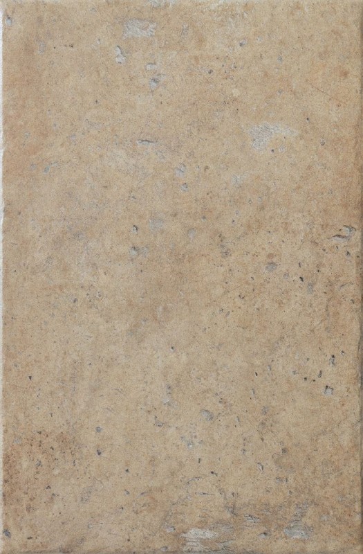 СRPL-00452