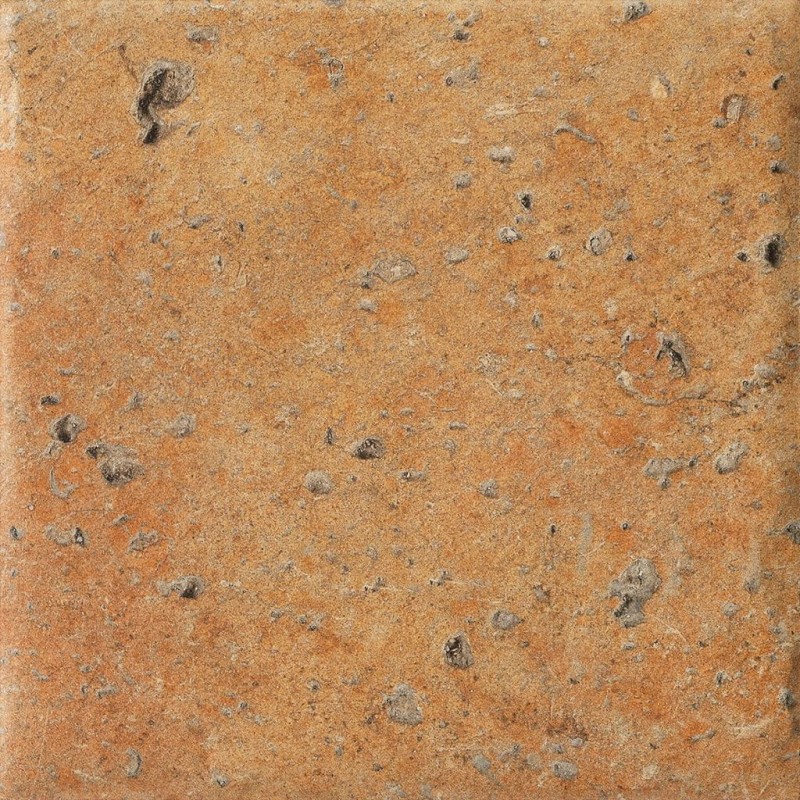СRPL-00469