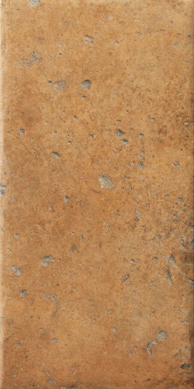 СRPL-00479