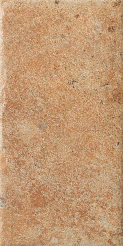 СRPL-00479