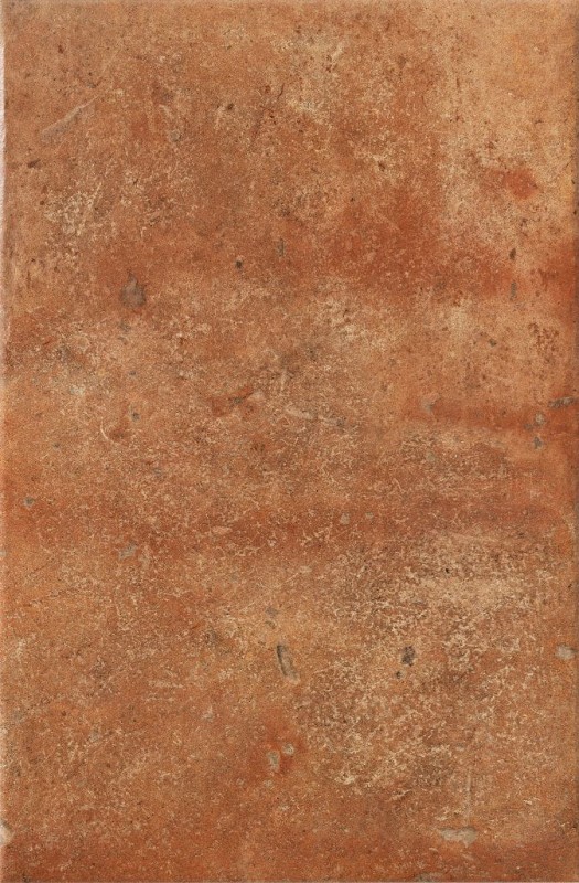 СRPL-00481