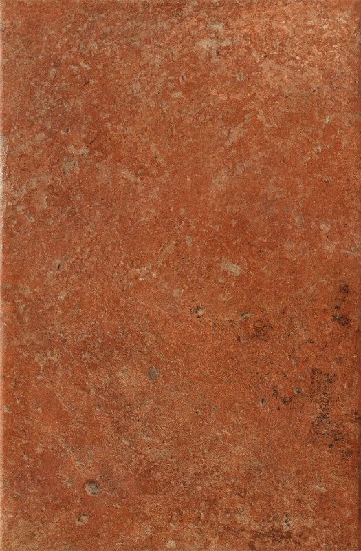 СRPL-00481