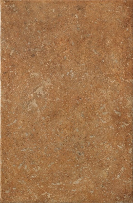 СRPL-00482