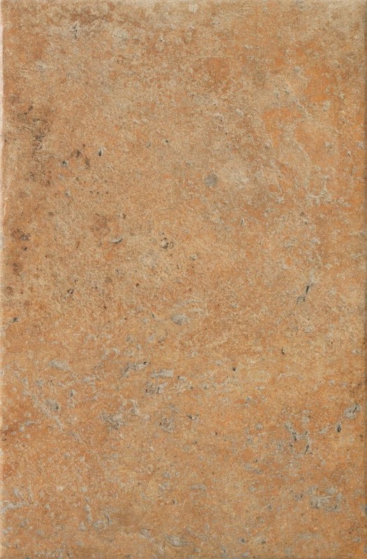 СRPL-00482