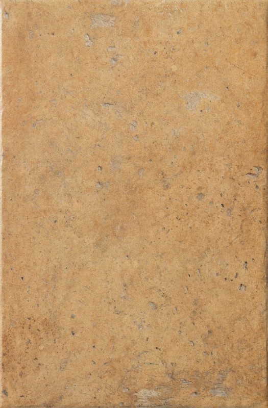СRPL-00482