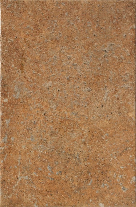 СRPL-00482