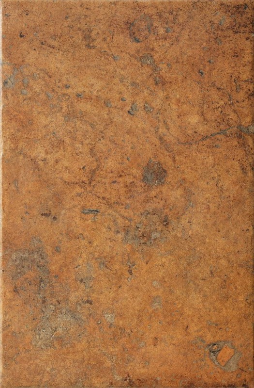 СRPL-00483